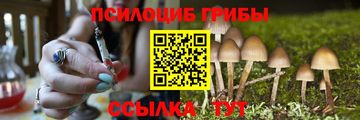 Псилоцибиновые грибы MAGIC MUSHROOMS Магадан